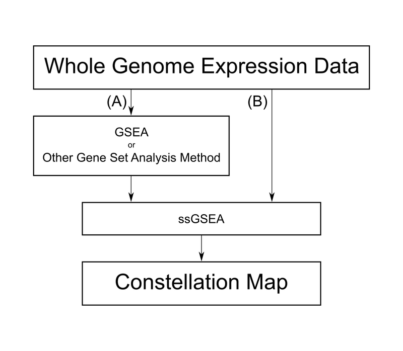 ConstellationMap Workflow
Figure